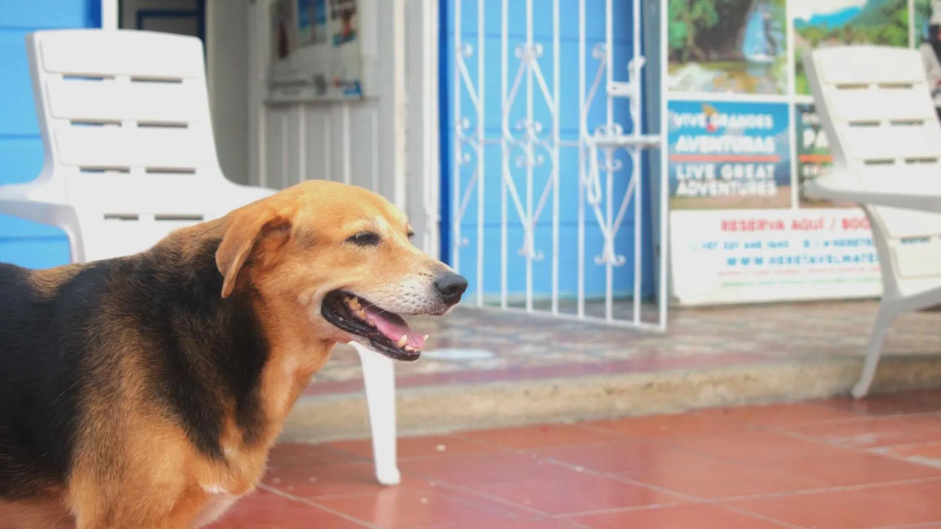 Hosting And Travel Services 420 Cartagena Hostel
