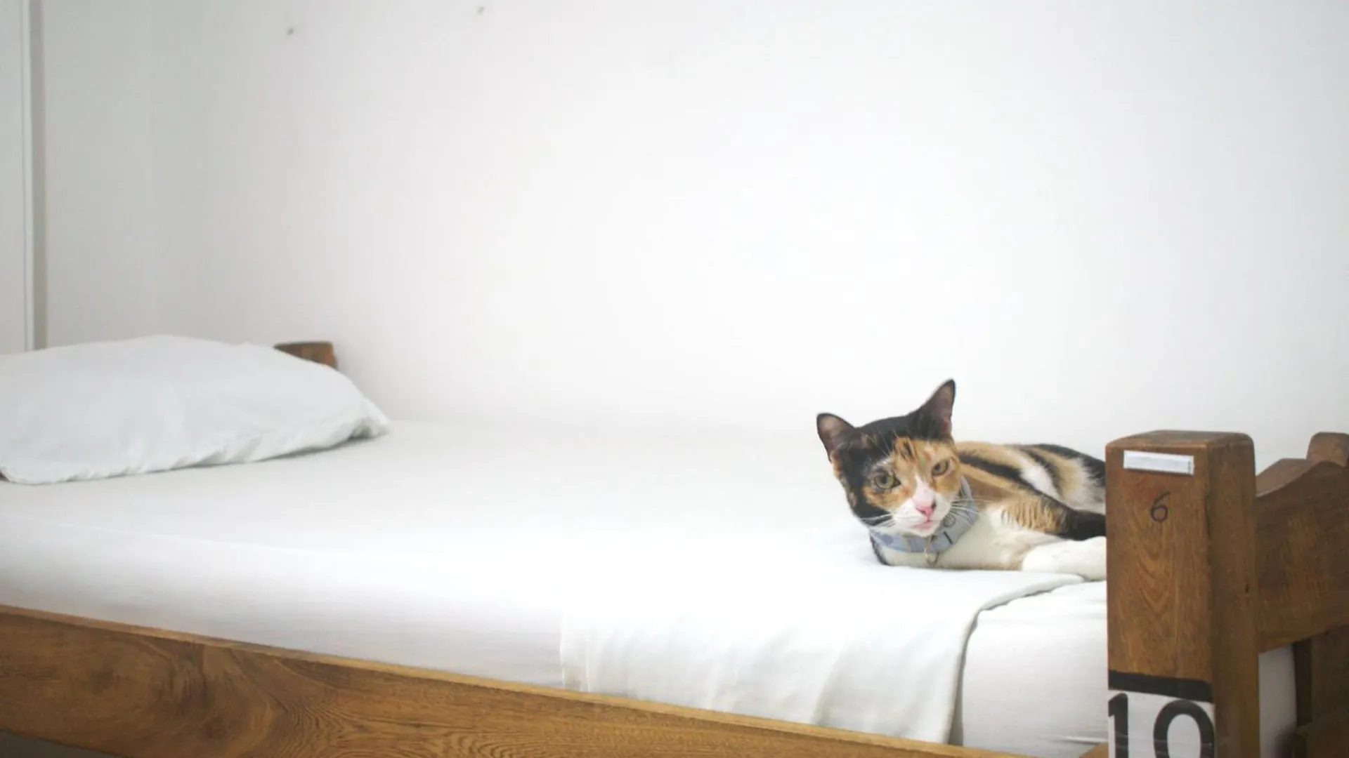 Hostel Hosting And Travel Services 420 Cartagena Colombia