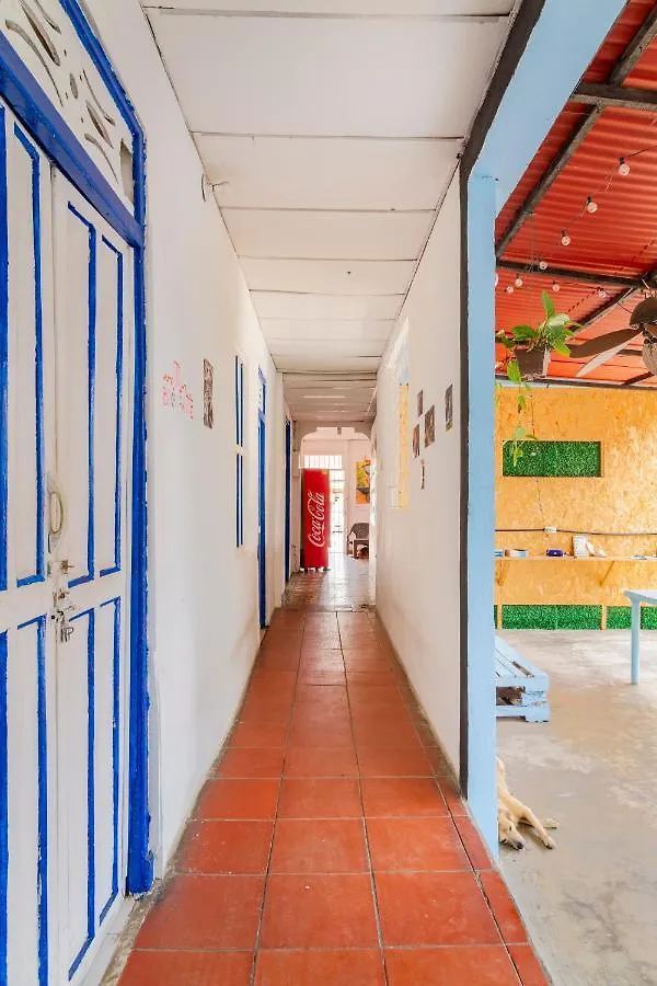 Hosting And Travel Services 420 Cartagena