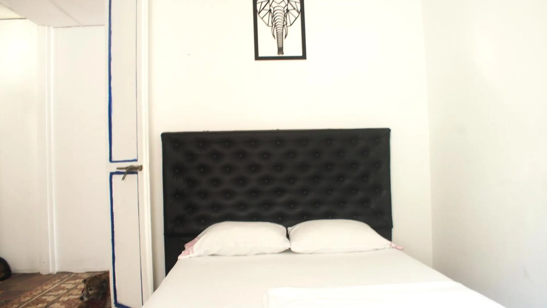 Hosting And Travel Services 420 Cartagena  Hostel