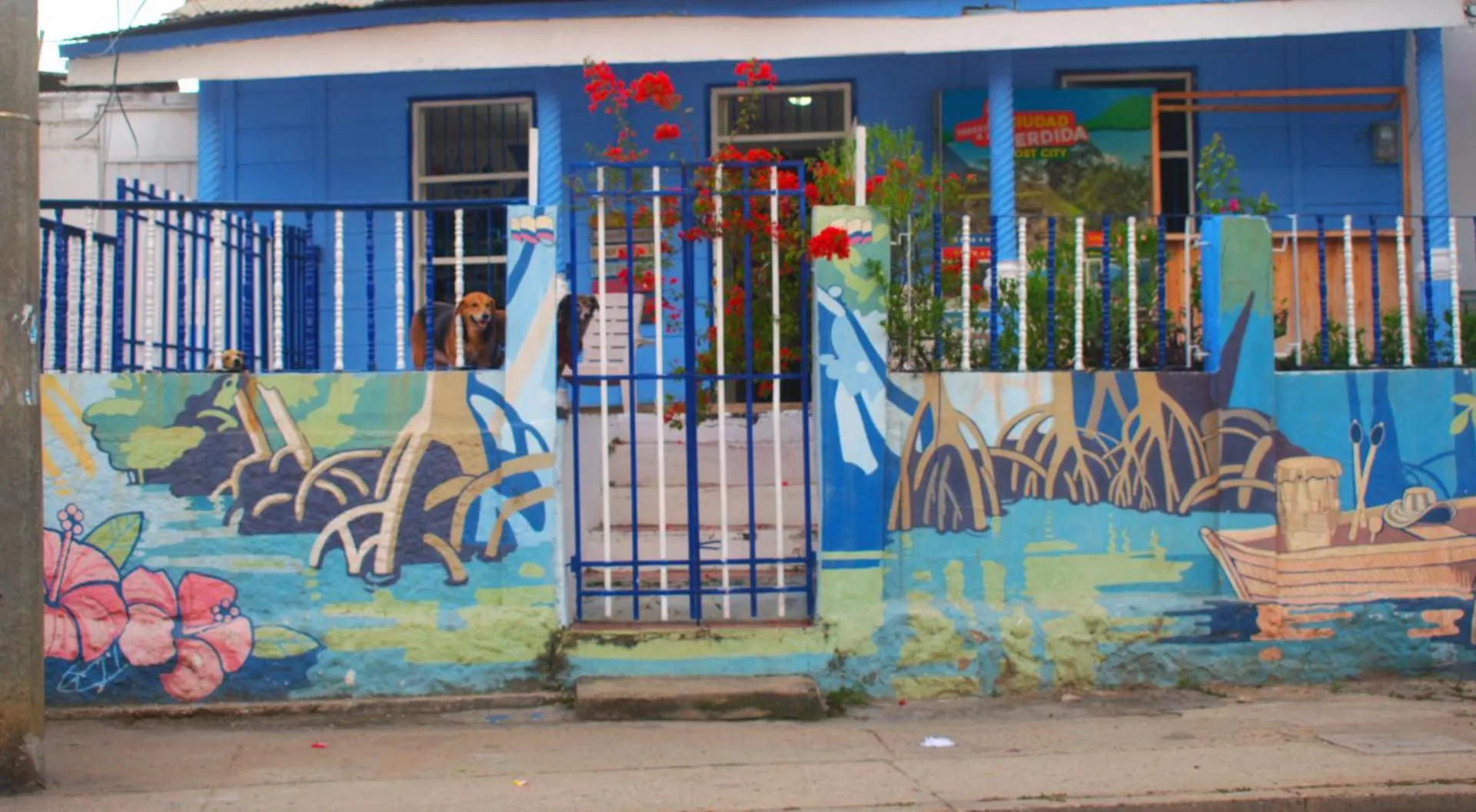 Hosting And Travel Services 420 Cartagena  Hostel